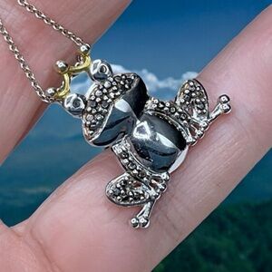 🌺Sterling & Black Diamond “Kiss the Frog Necklace